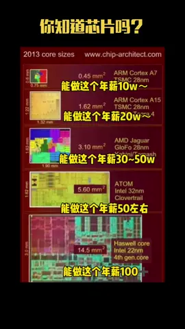 芯片 就业 稳住2021 我们继续干芯片，奥利给～