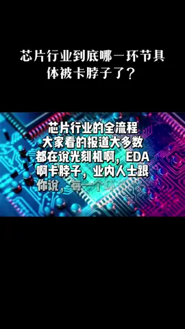 芯片 沪漂 芯片行业为何举步维艰～