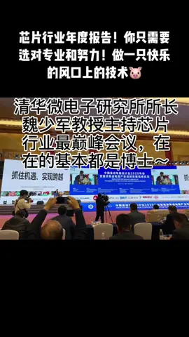 芯片 沪漂 在芯片行业希望与各位同行～在未来的时间在各个芯片设计公司遇到努力的你～