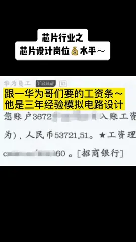 沪漂 芯片 21世纪选择有时候大于努力，芯片行业是风口，你愿意当风口上的🐷吗？