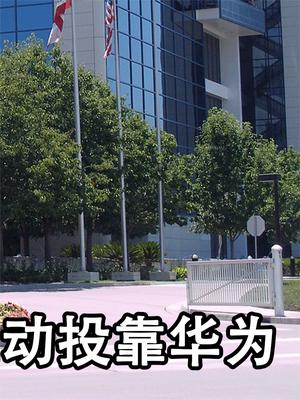 任正非的底牌曝光！美方的好日子到头了，美两巨头主动投靠华为！