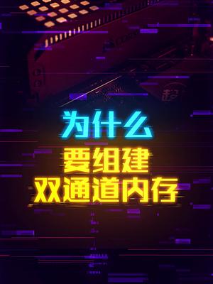 为什么双通道的内存性能要更好？ 这个视频有点料 七天打卡新知识