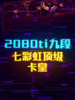 RTX2080Ti九段，装在旅行箱里的显卡。这个视频有点料 轻知识计划