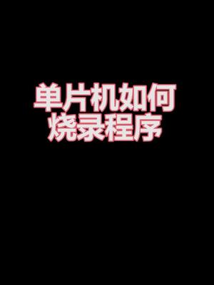 单片机烧录程序的原理，学好嵌入式，零知实验室