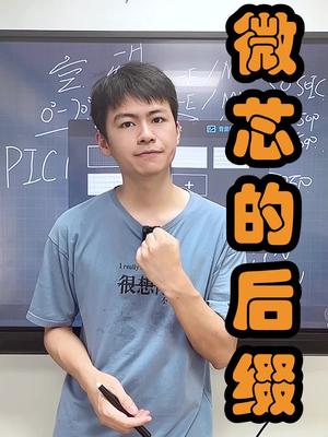 microchip的后缀，属于是经典重现了芯片 口播 电子元器件 microchip