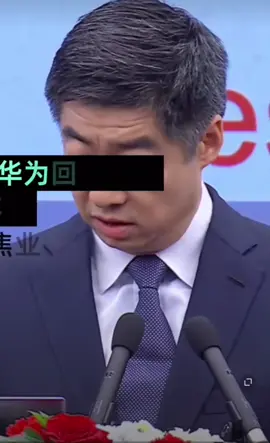 华为2028年财报发布创业 重磅 猪