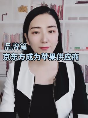 京东方的前世今生京东方 芯片 全芯时代