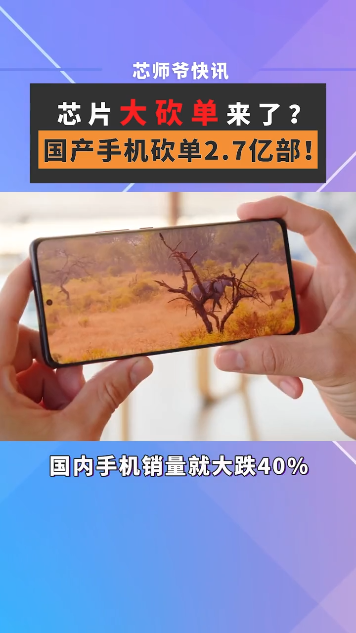 芯片大砍单来了？国产手机砍单2.7亿部！芯片 半导体 手机