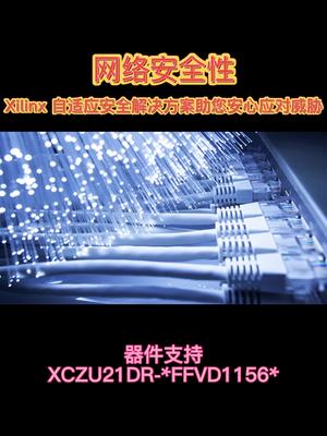 为您的网络安全保驾护航芯片 电子元器件 赛灵思网络安全