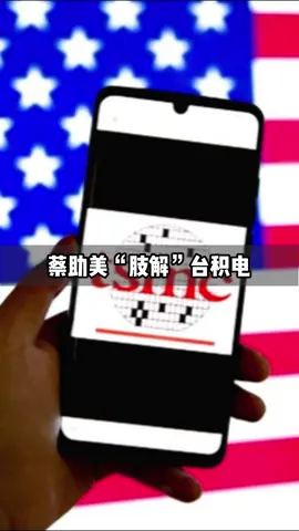 台前“立委”：蔡英文助美“肢解”台积电 芯片 台积电