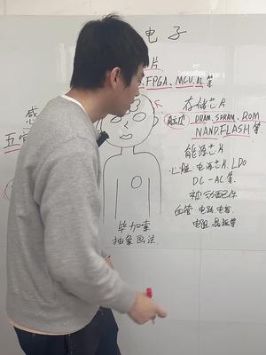 毕加索抽象派画风第一视角带你了解芯片分类口播 芯片 电子元器件