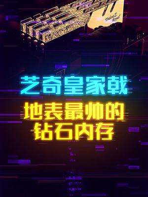 将钻石镶在内存上的皇家戟3200 这个视屏有点料 轻知识计划