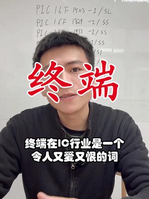 我就想知道，有终端的世界在哪里？芯片 口播 电子元器件