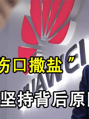 不要“伤口撒盐”了！细数华为坚持的三个意义，背后原因令人心酸