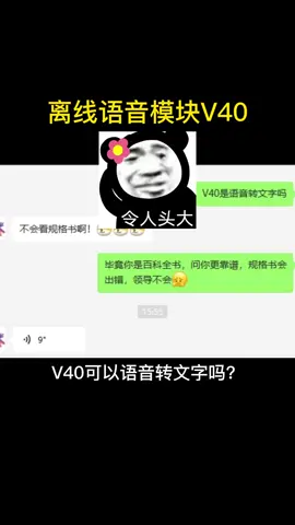 离线语音模块，V40是语音转文字，还是文字转语音，家人们，你们搞明白了吗？离线语音 文字转语音 语音控制 海凌科电子