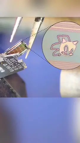 谁知道芯片内部的这个神兽是什么？ 芯片 拆解