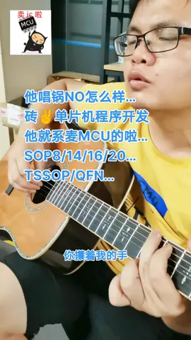 自弹自唱 单片机 业余爱好电子产品方案开发 mcu 单片机程序开发 选择对的人一起做点事情