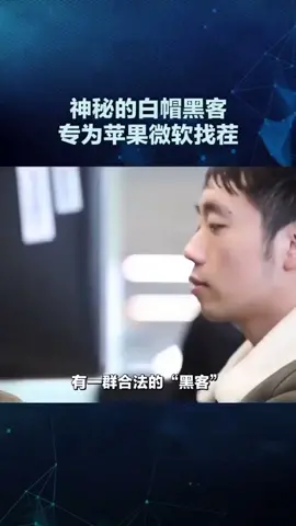 神秘的白帽黑客专为苹果微软找茬科技