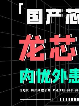 国产完全自主的芯片架构，能打赢国外的芯片架构吗？芯片 龙芯 科普 硬核科普 萌知计划 知识能量站