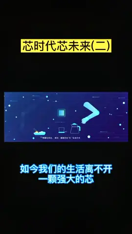 芯时代芯未来（二）科技 芯片
