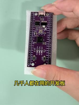W806单片机开发板 国产平头哥内核32位XT804 MCU+240MHz主频 单片机 单片机开发 芯片缺货 开发板