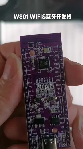 W801开发板，直接PK掉ESP32，里面还有Dsp单片机 物联网 芯片 智能家居