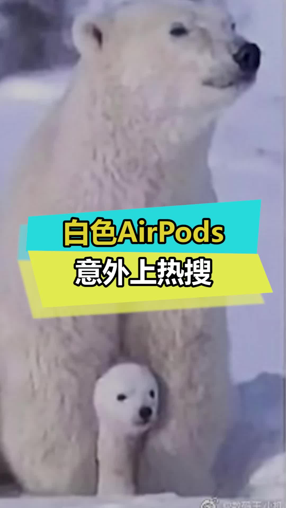 所以AriPods为什么只有白色？ airpods