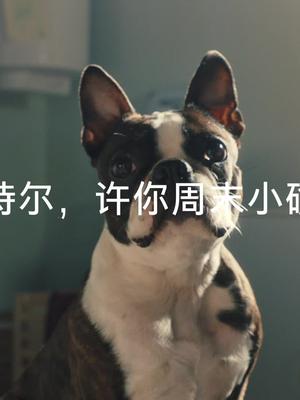 多亏英特尔技术，Kate快速完成了从核心网到边缘网的转型，乐享与自己萌宠的周末时光！英特尔至强新品