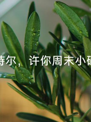 英特尔上百个经验证的解决方案，轻松实现高扩展， Stuart可以轻松过周末！英特尔至强新品