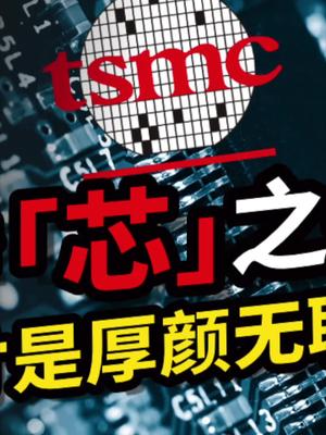 聊聊台积电建厂之争。23 芯片 半导体