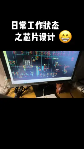 芯片 我的工作 国产芯片 加班ing 什么样的工作可以靠技术在二十多岁的年纪买得起房，养得起家，芯片设计行业可以……我试过了、