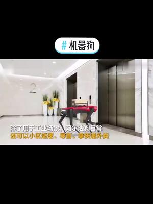 这样的机器狗，如果平价了你想买一只出去溜吗😂机器狗 遛狗 科技改变生活 日常训练
