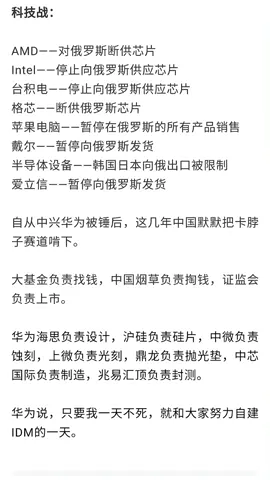 芯片 国产芯片 芯片制裁 国产芯片自研之路必须坚持走下去，努力去设计好每一款芯片！寻找工程师 芯片工程师阿伟
