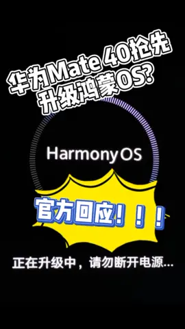 华为Mate 40下个月抢先升级鸿蒙OS?官方回应！华为 新闻 科技 手机
