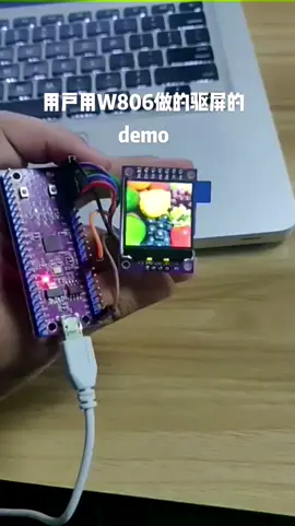 W806用户做的屏幕驱动demo单片机 物联网 电子技术