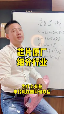 芯片 半导体 原厂 国产芯片 芯片宝哥