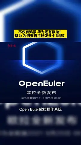 不仅有鸿蒙 华为还有欧拉！华为为何要自主研发多个系统？华为 鸿蒙 系统