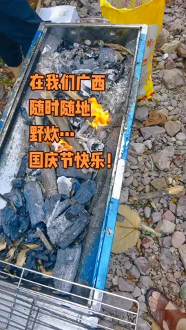 户外野炊 野外美食 我在这里告白祖国 mcu程序开发电子产品方案 野外烧烤 mcu程序