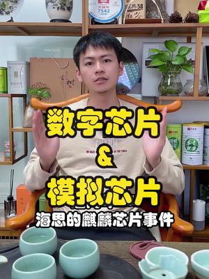 浅显的聊一下数字芯片和模拟芯片口播 芯片 电子元器件